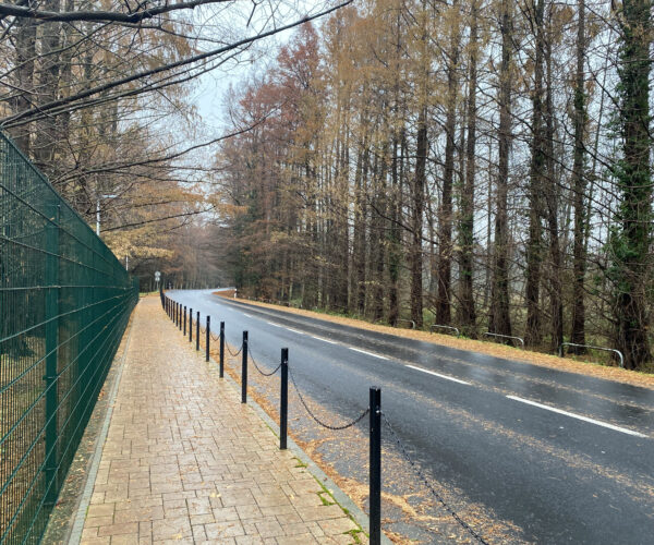 Hévíz tófürdő Hungest Hotel