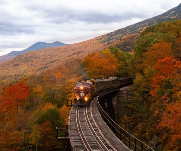 Mit érdemes még tudni a Gemenci erdőről?