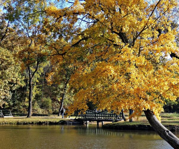 Miért érdemes ellátogatnunk Dégbe ősszel