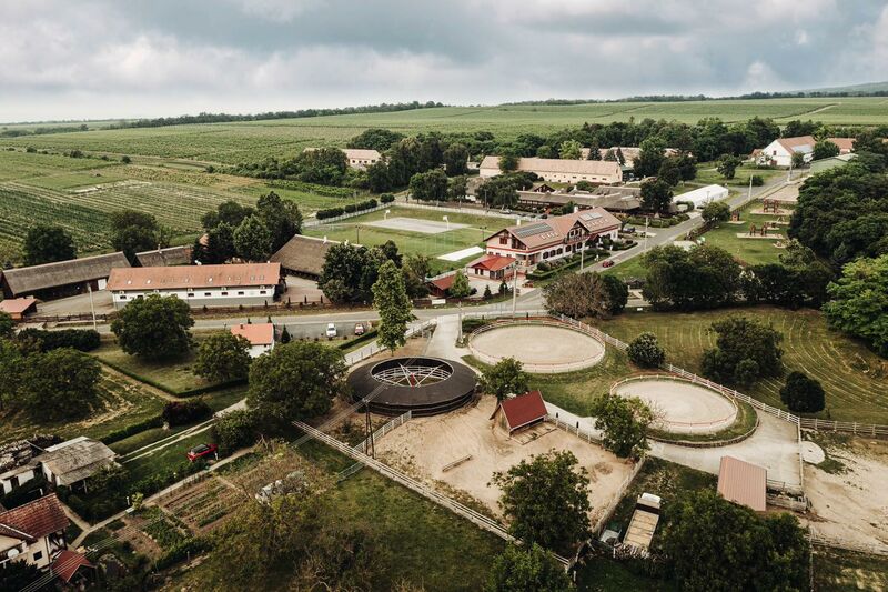 Olcsó szállások Balatonlelle-Rádpuszta Balatoni gasztro élmények! - Rádpuszta Gasztro Élménybirtok ! Már 68 990 Ft/2 fő/2 éj-től!