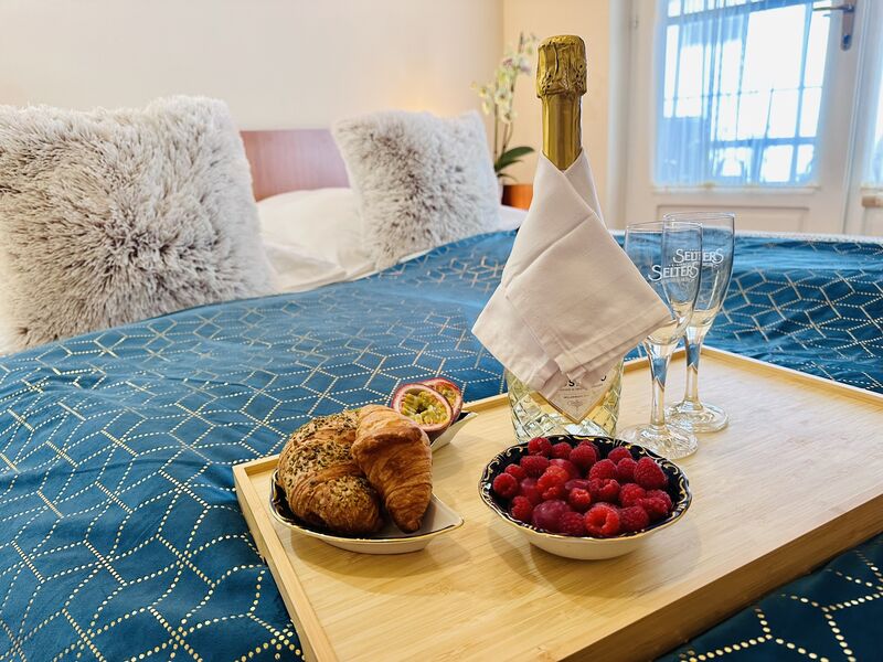 Olcsó szállások Gyula Felhőtlen kikapcsolódás Gyulán! - Cozy Garden Apartman II. ! Már 34 990 Ft/2 fő/2 éj-től!