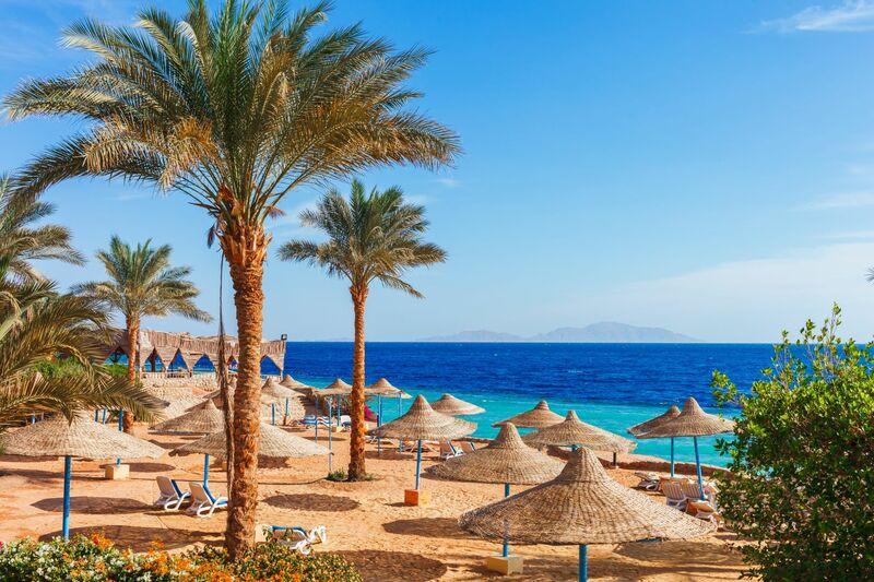 Olcsó szállások Sharm El Sheikh Varázslatos vakáció Sharm El Sheikh-en! - Sharm El Sheikh ! Már 369 900 Ft/2 fő/7 éj-től!
