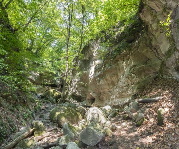 Holdvilág-árok Pomáz túra