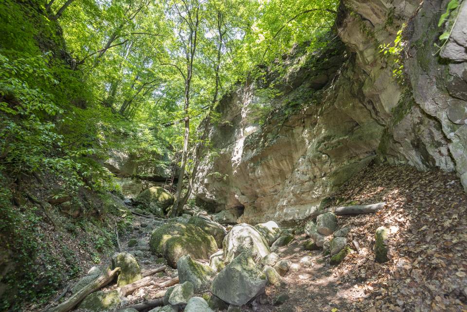 Holdvilág-árok Pomáz túra