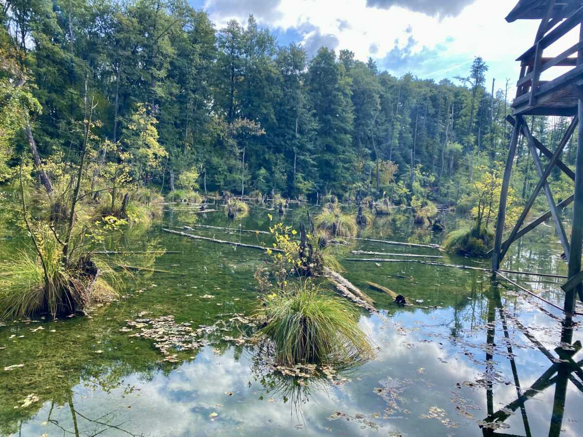 Tatai hétvégi kirándulás - Élménybeszámoló