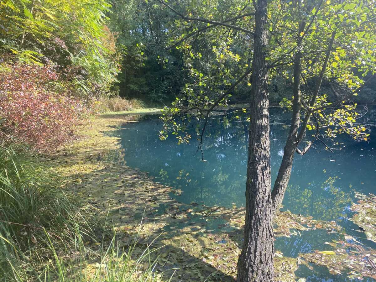 Tatai hétvégi kirándulás - Élménybeszámoló