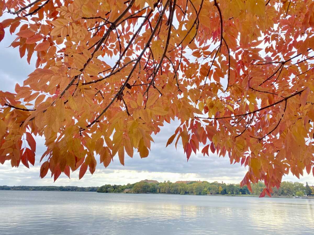 Tatai hétvégi kirándulás - Élménybeszámoló