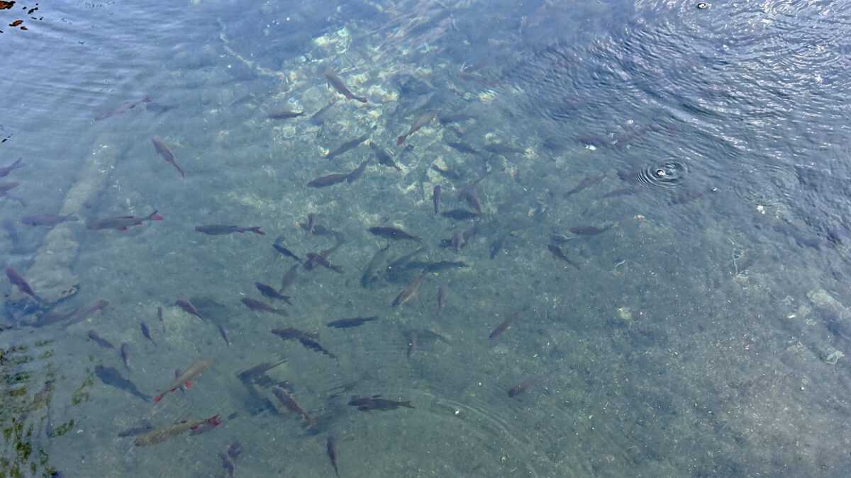 Tatai hétvégi kirándulás - Élménybeszámoló