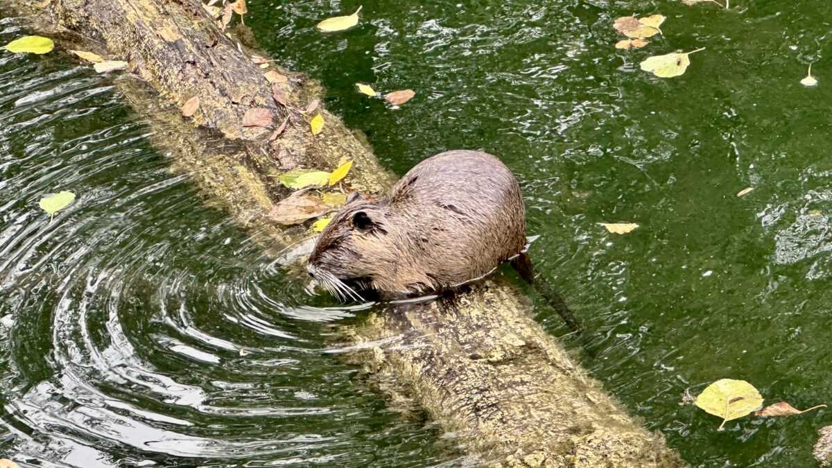 Tatai hétvégi kirándulás - Élménybeszámoló