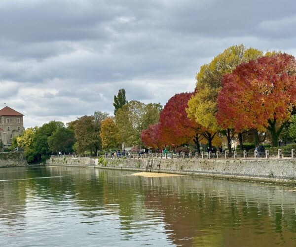 Tatai hétvégi kirándulás - Élménybeszámoló